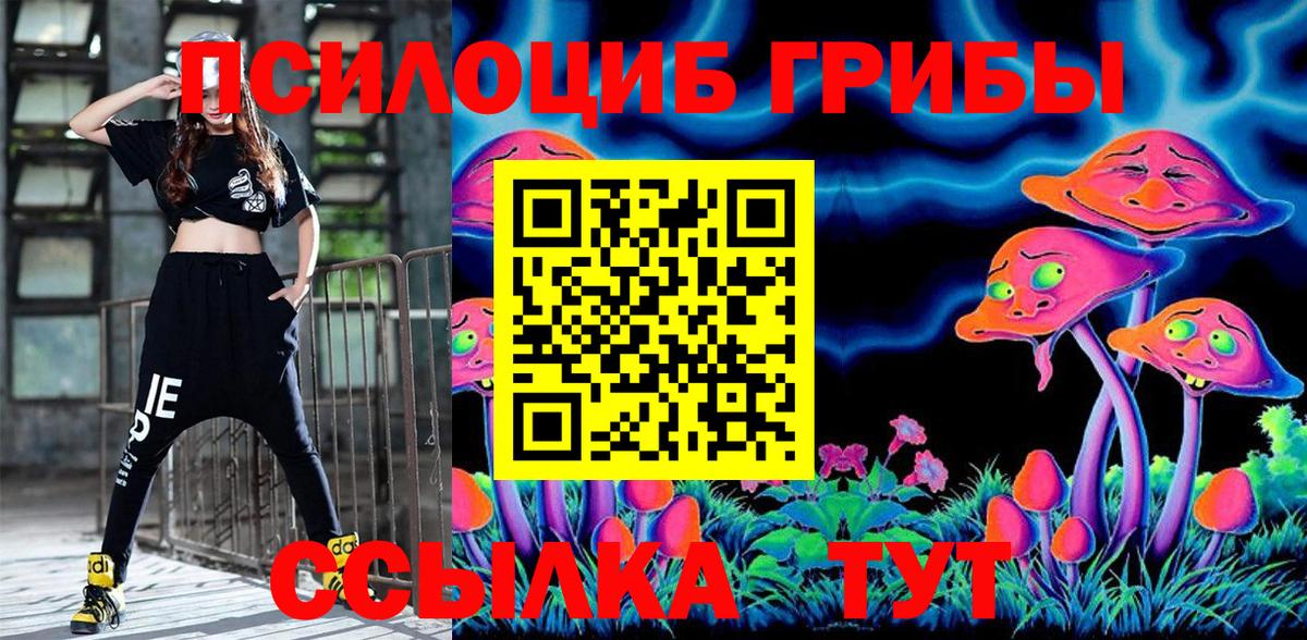 Галлюциногенные грибы Magic Shrooms Зеленогорск