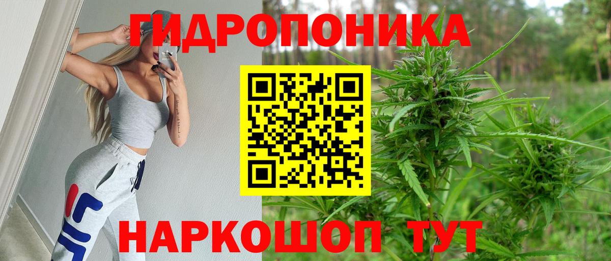 МАРИХУАНА планчик Зеленогорск